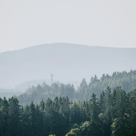 Chalet Moderni Sumavska Roubenka S Vyhledem Na Boubin *