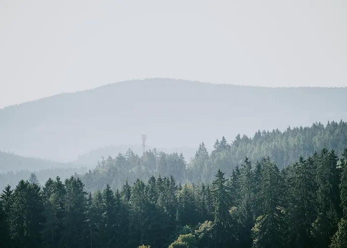 Chalet Moderni Sumavska Roubenka S Vyhledem Na Boubin *